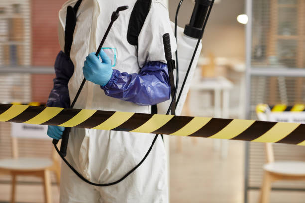 Professional Sewage Cleanup technician working in Dillard, GA
