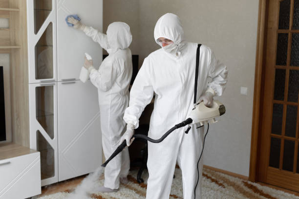 Trusted Unattended Death Cleanup service in Dillard, GA - Four Month Blood Cleanse